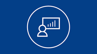 Assets icon