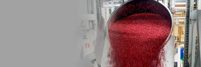 Orkla foods - Biggest in the Nordic region