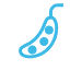 icon of a bean