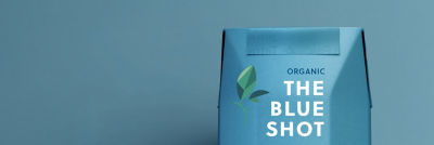 Carton package top section