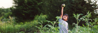 Boy picking pepper, vegetable patch