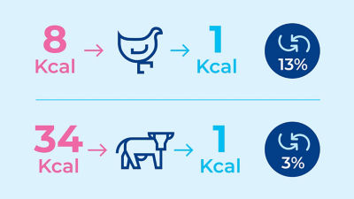 Infographic: animal protein sources