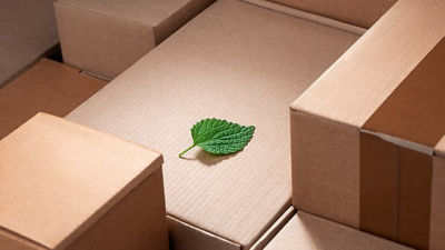Cardboard boxes