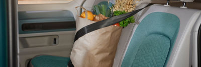 grocery bag in car seat