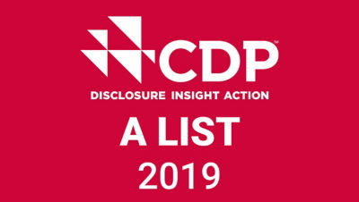 CDP Forests stamp