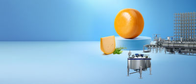semi-hard cheese and equipment for cheese production