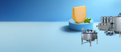 Gouda cheese and equipment for cheese production