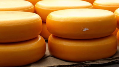 Cheese wheel gouda