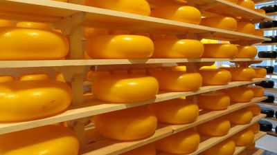Shelves with wheels of cheese