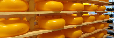 cheese wheels on shelf