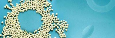 Circle of soya beans