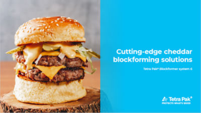 hamburger with cheese