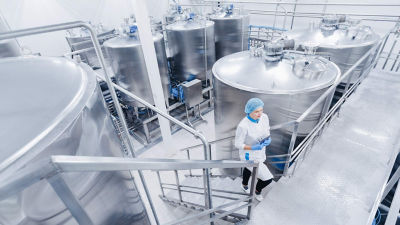 Dairy operator in dairy plant