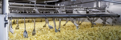 Cheddar production at Dale Farm