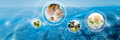 Food safety and Industry 4.0