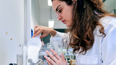 Experto en reología de polvos