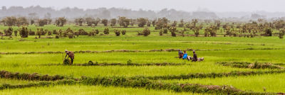 Farmers in Kenya, East Africa