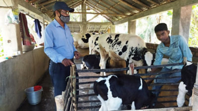Dairy farmers in Bangladesh