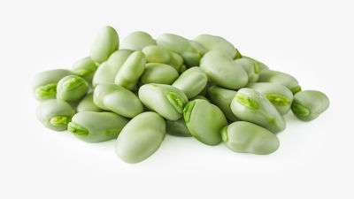Fava beans