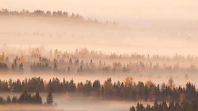 Finnish landscape 