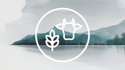 Icon on mountain background