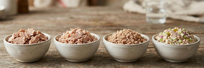 Different types of tuna in bowls