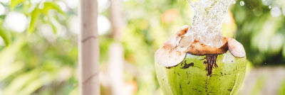 Fresh coconut, coconut water