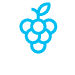 icon of a fruit