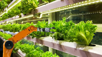 Robot picking salad