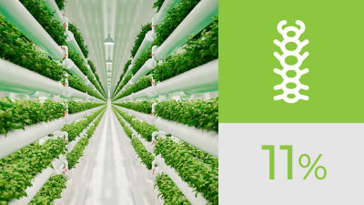 Hydro farming