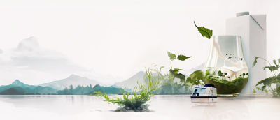 Landscape and carton package