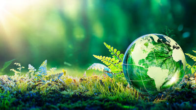 globe on the grass