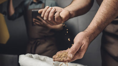 Hand holdin grains