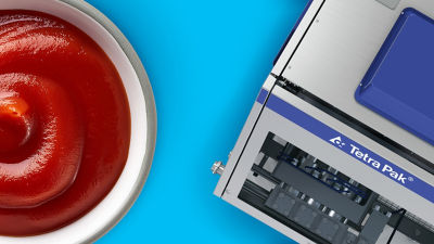Homogenizer and ketchup