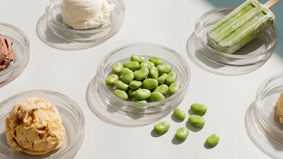 Assorted ice cream flavours and ingredients on light background