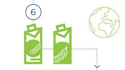 Iconographic: branding, cartons with design and globe