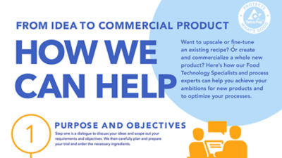 Infographic from idea to commercial product