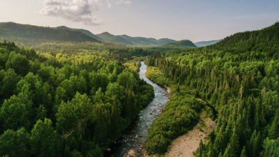 Abordagem à natureza