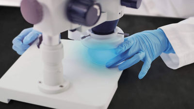 Laboratory