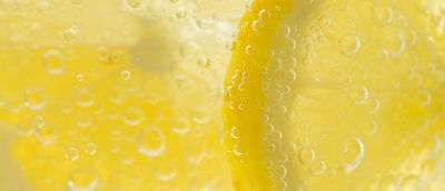 Lemon and lime in sparkling soda