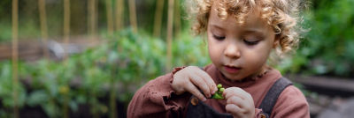 Little girl with pea pod, kitchen garden