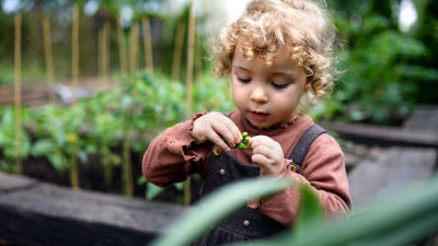 Little boy in the garden