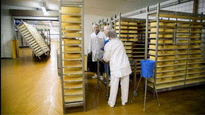 Cheese production warehouse