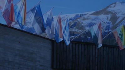 different flags with blue filter