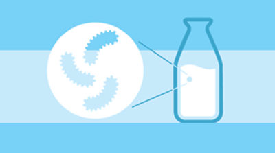 Illustration, bactéries dans du lait