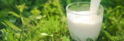 Un vaso de leche sobre el césped