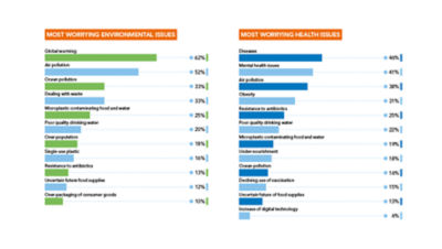 Graph: The most worrying issues