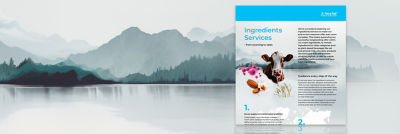 Mountains and brochure