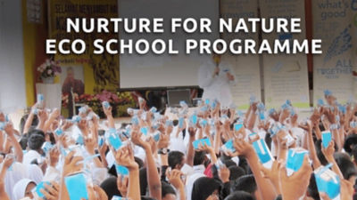 Nature for nurture ecoschool program
