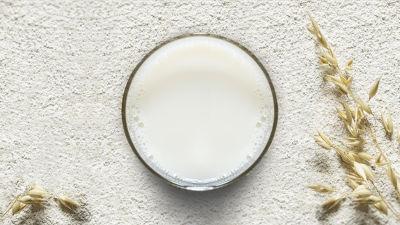 Oat-based powder and a glass of oat beverage